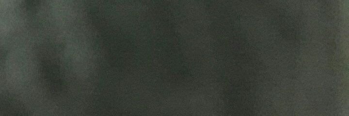 RceLoa's profile banner image
