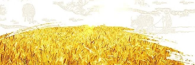 HTD5000's profile banner image