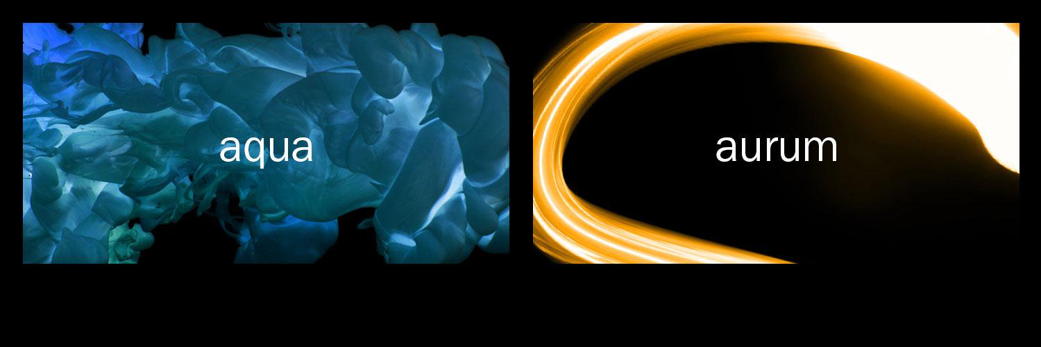 DUALPrivateClient IE banner