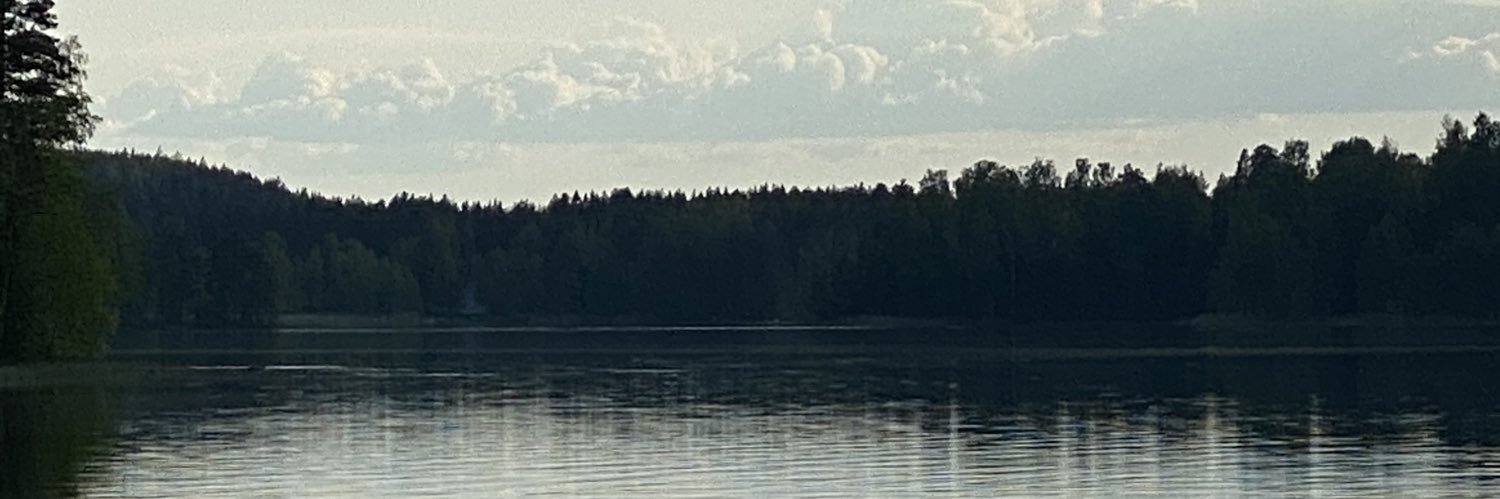 saikkanen's profile banner image