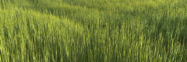 AgroCLMdigital Profile Banner