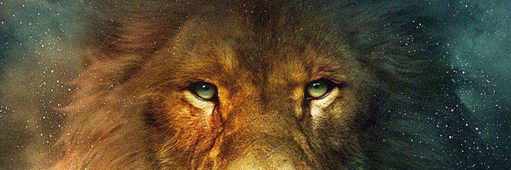 İrem banner