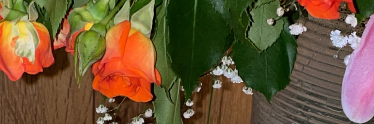 dody_1407's profile banner image