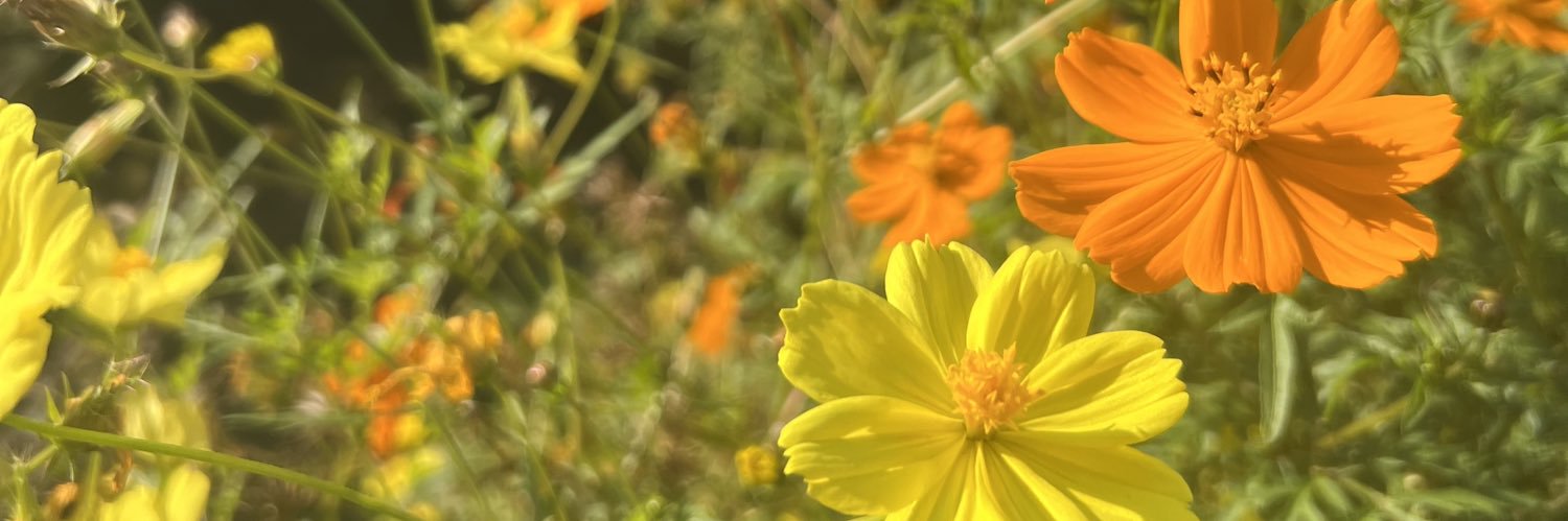 hana4115's profile banner image