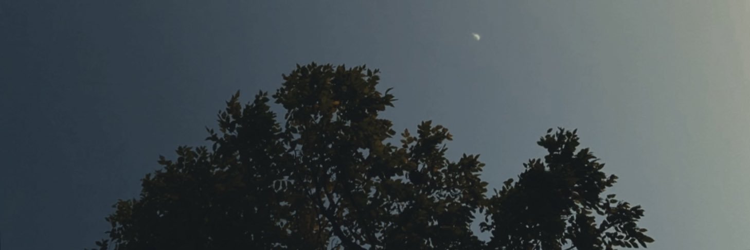 benbentwel's profile banner image