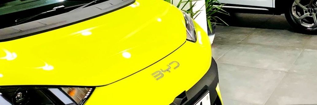 taonga_meja's profile banner image