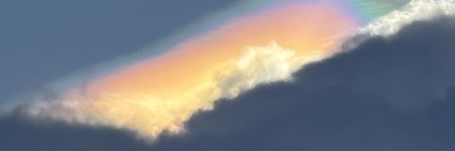 Newl988s's profile banner image