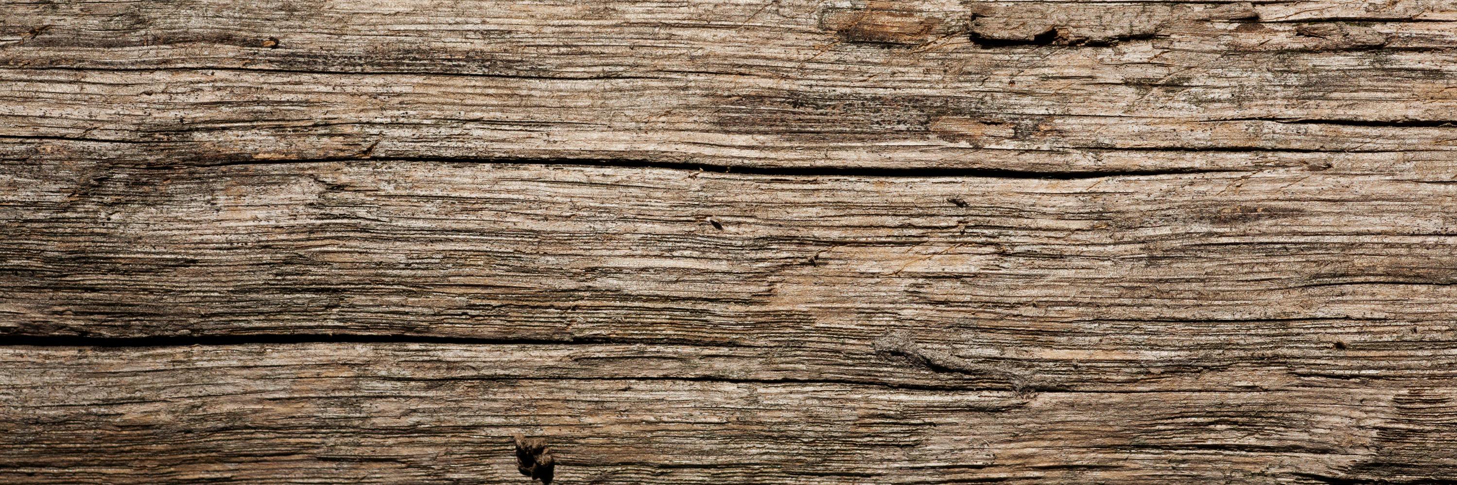 Lev Tankelevitch banner