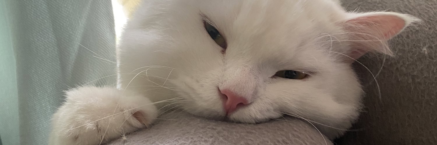 jenethskii's profile banner image