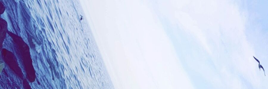 Hasretsuakk's profile banner image