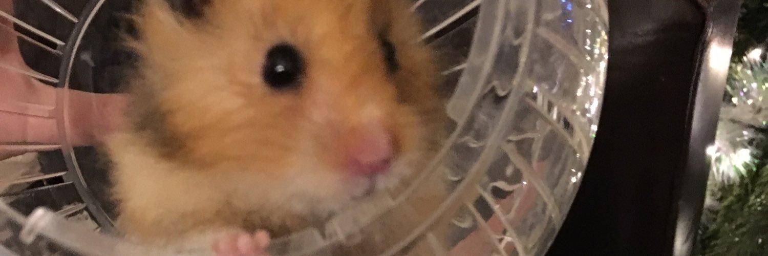 fluffythamster's profile banner image