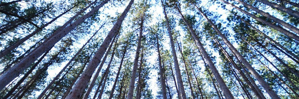 beninmotion's profile banner image