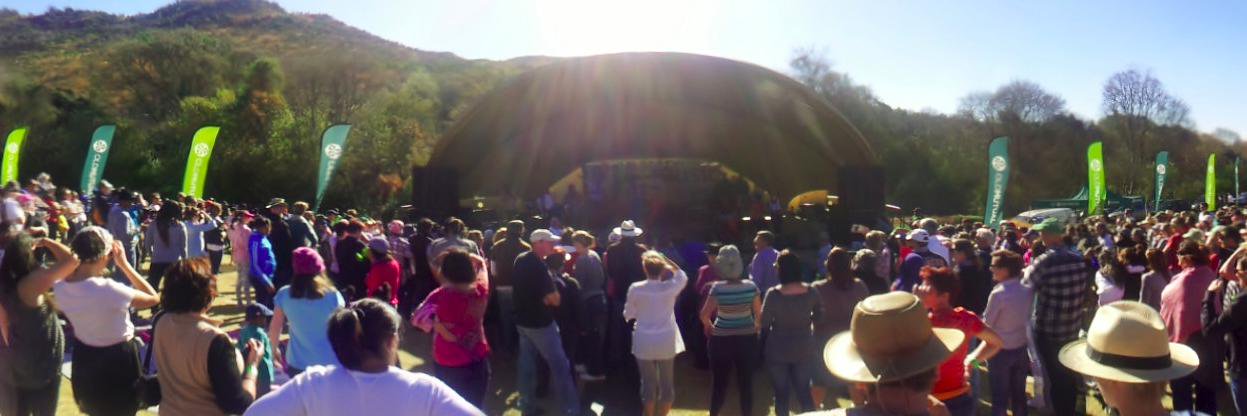 Old Mutual Concerts banner