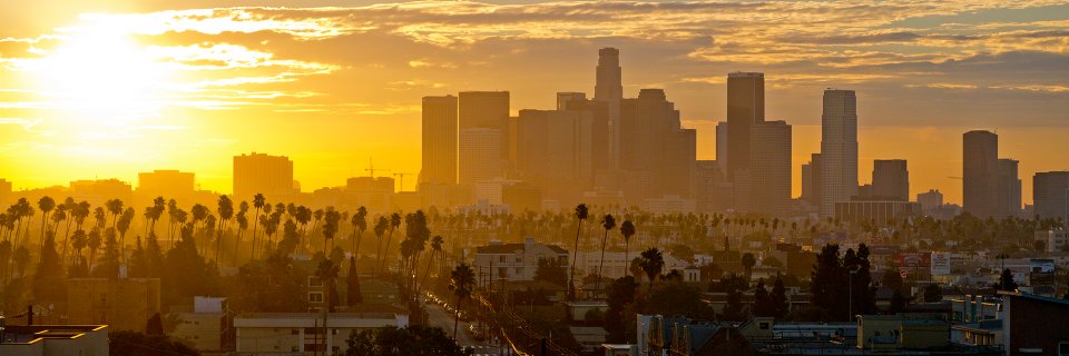 Los Angeles Informer's banner