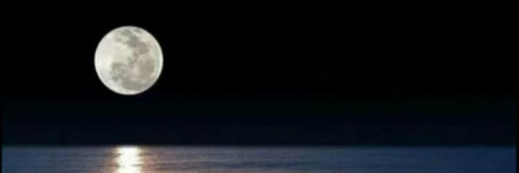 mothkf22's profile banner image