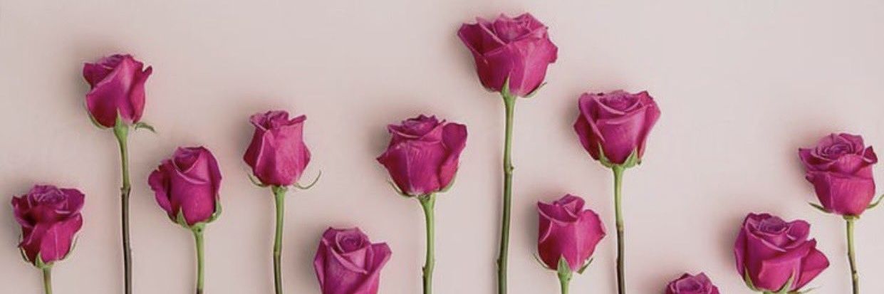 phoebeaustria's profile banner image