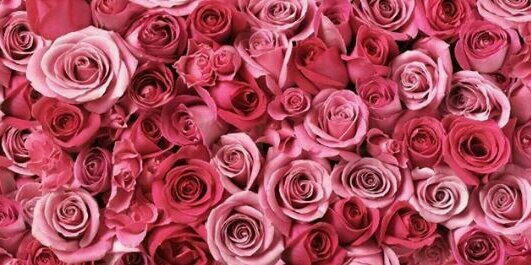 anasm7692's profile banner image