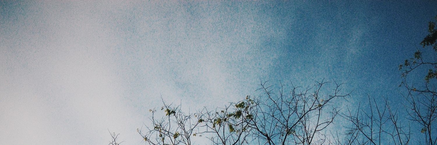 ricajpg's profile banner image