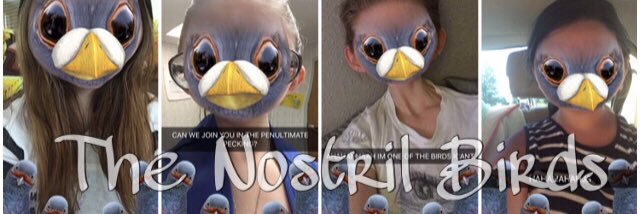 NostrilBirds's profile banner image