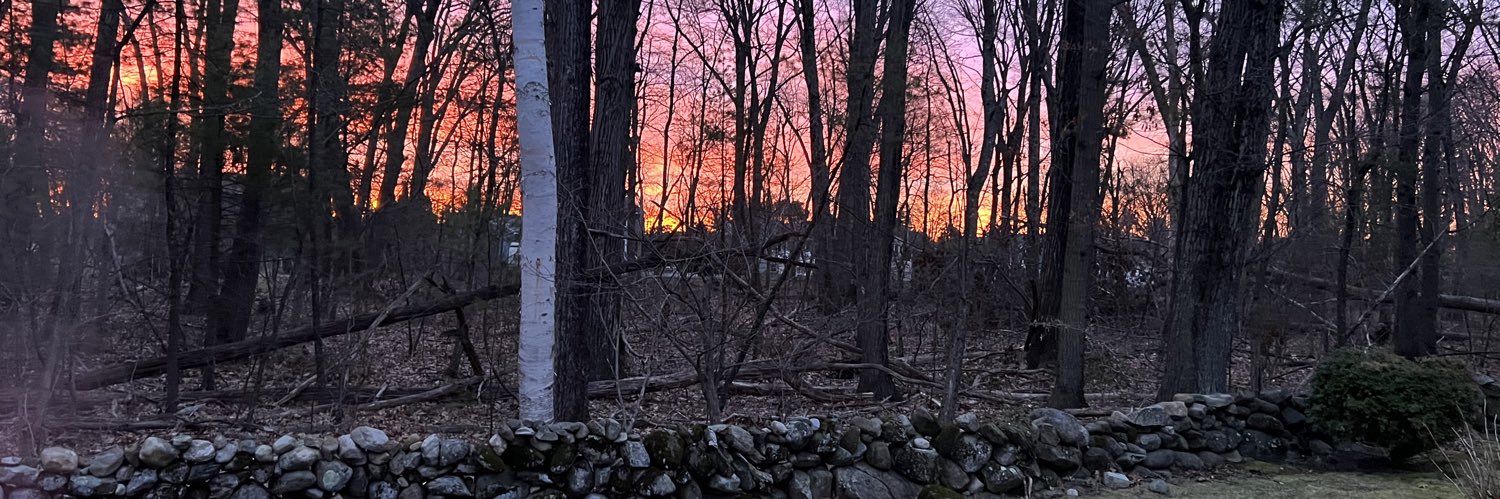 DavidGunzburger's profile banner image
