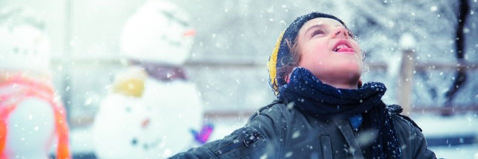 WY State Board of Ed banner