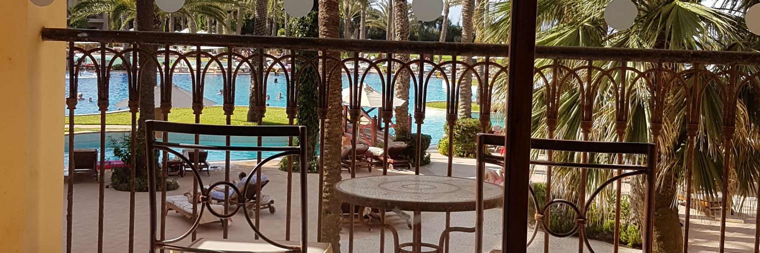 warda_donia's profile banner image