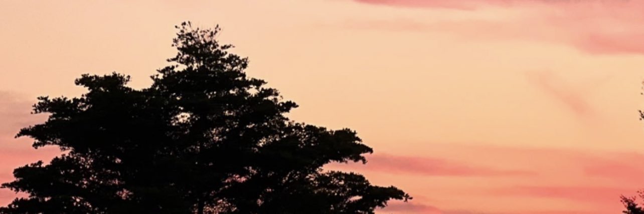Hal00ol's profile banner image