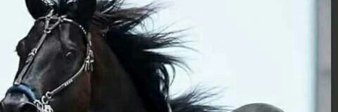 meboy66's profile banner image