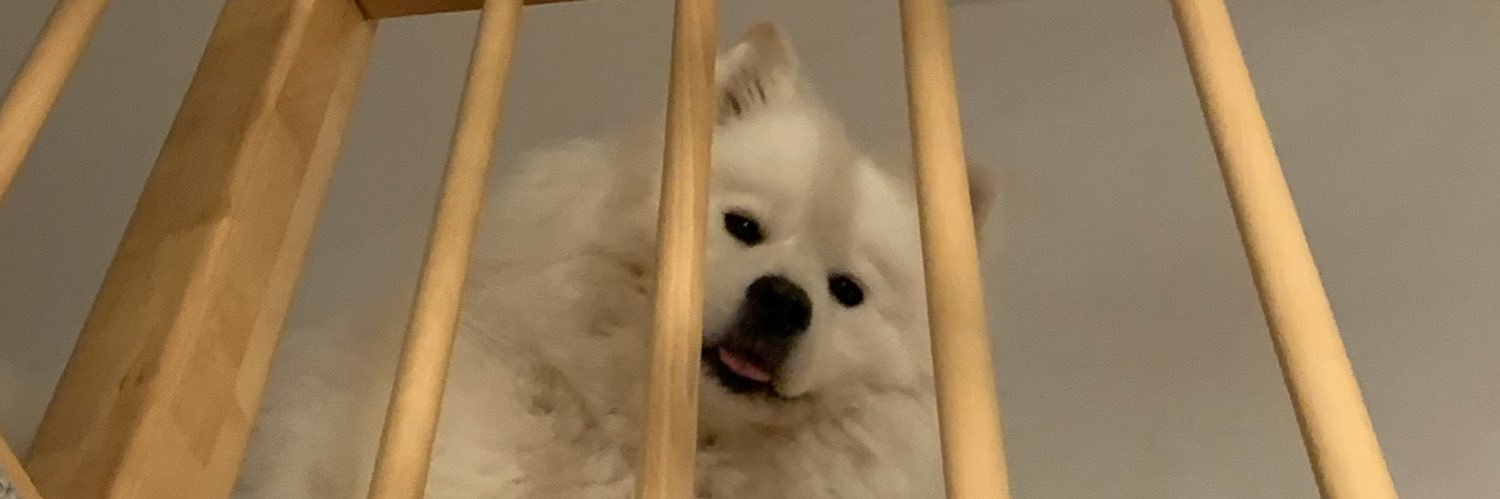 FP_Nightlight's profile banner image