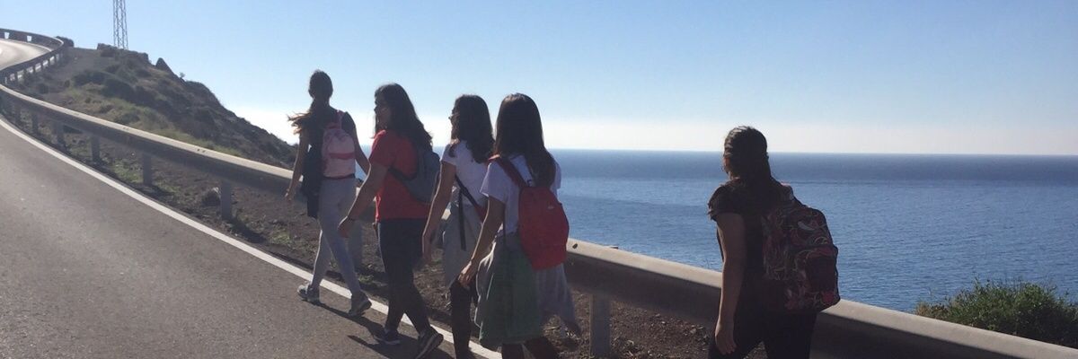 Crisct99's profile banner image