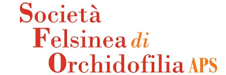 Orchidofilia banner