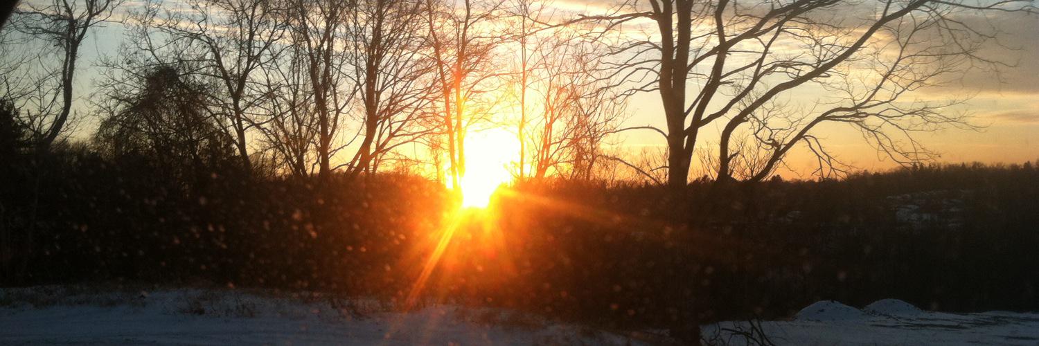 dcberr's profile banner image
