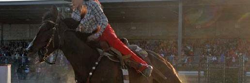 Lindsay_Rodeo's profile banner image