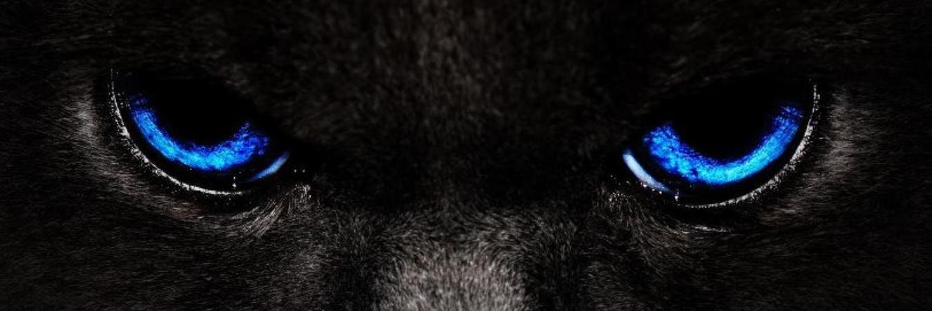 BentarWardana's profile banner image
