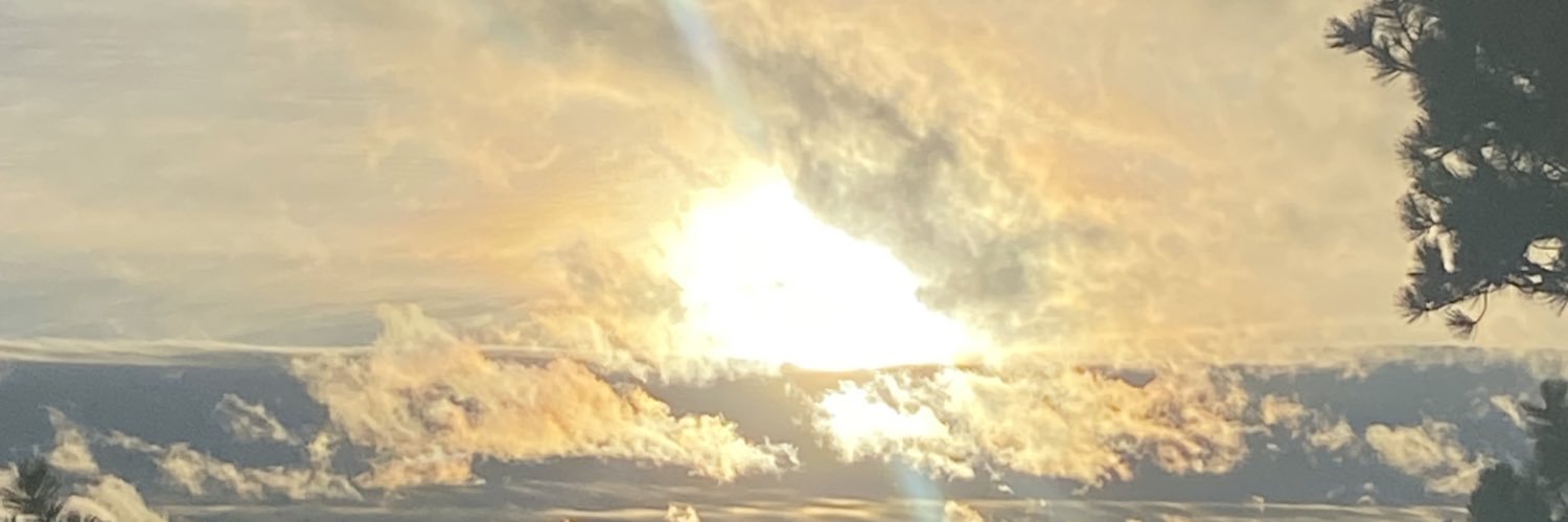 LSchoenberg_'s profile banner image