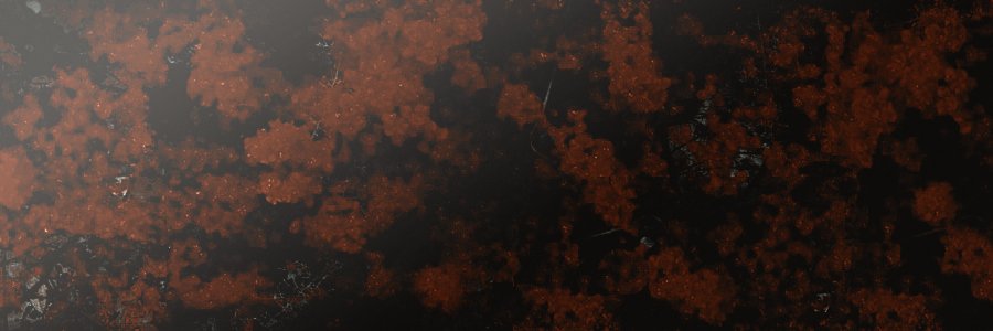 𝐏𝐡𝐨𝐞𝐧𝐢𝐱 𝐌𝐚𝐥𝐟𝐨𝐲. banner