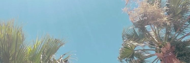 SHOPFIORIRE's profile banner image