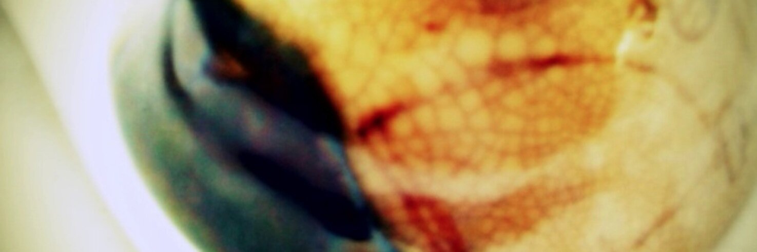 pottary's profile banner image