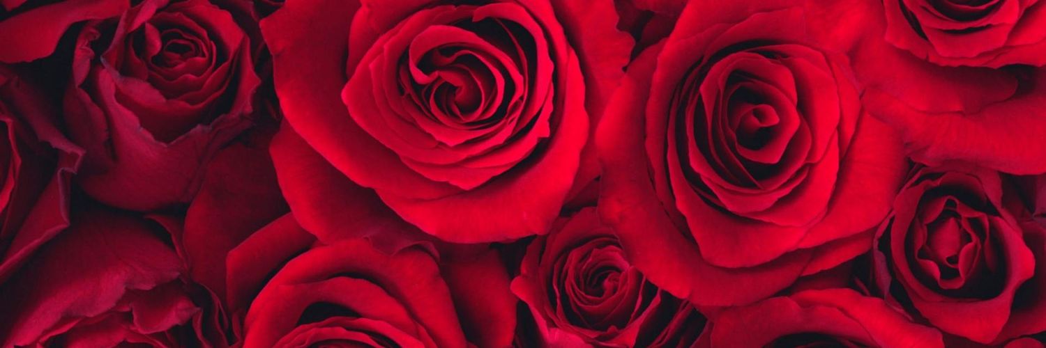 _Lady_Ice_7609's profile banner image