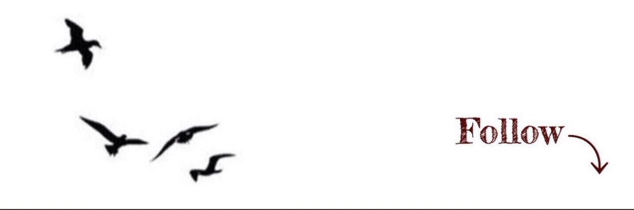 raiig94's profile banner image