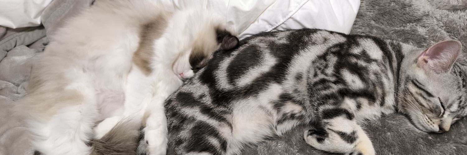 ピロ＠Pilobster banner