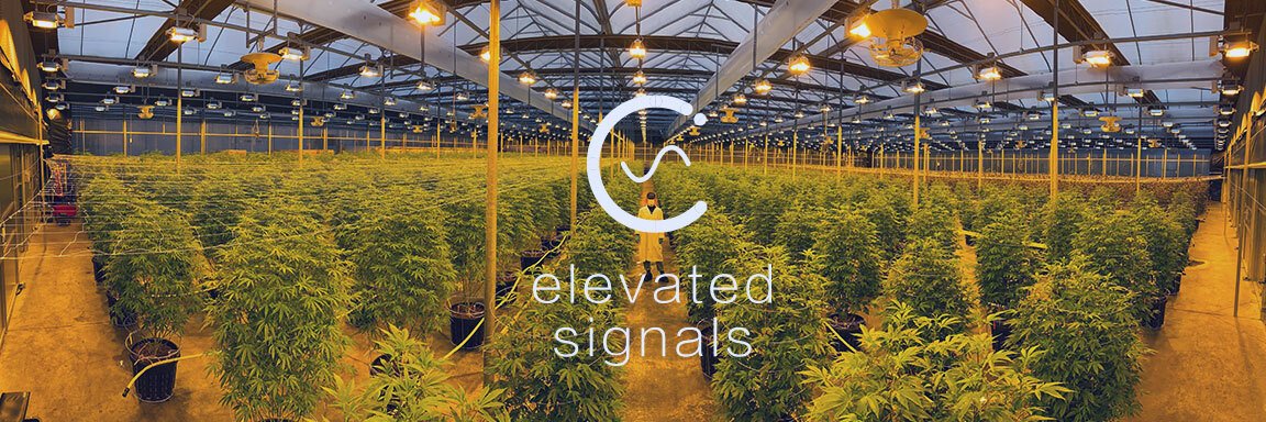 Elevated Signals banner