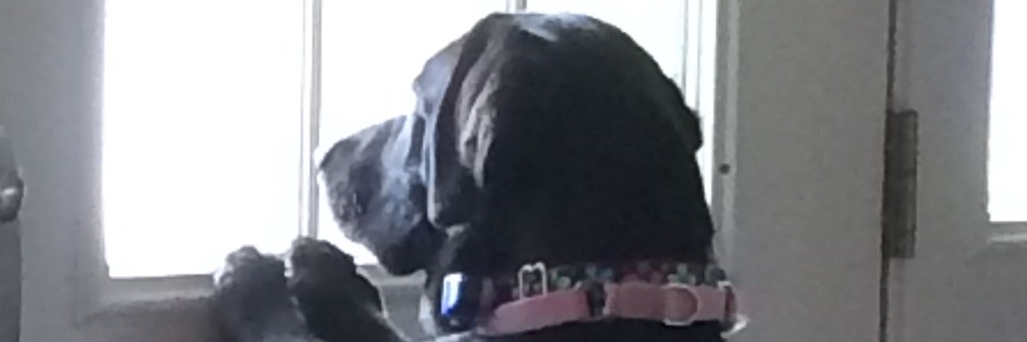 Jack__Edwards11's profile banner image