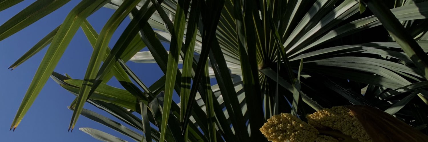 IsaFernaandez's profile banner image