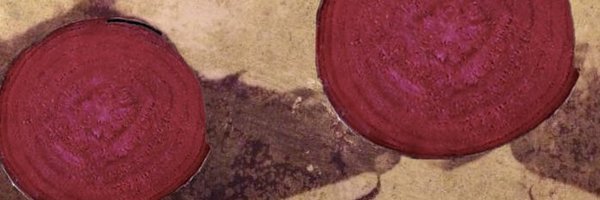 pascallion_ Profile Banner