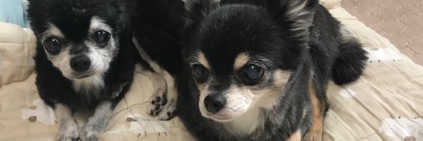 kaec925 Profile Banner