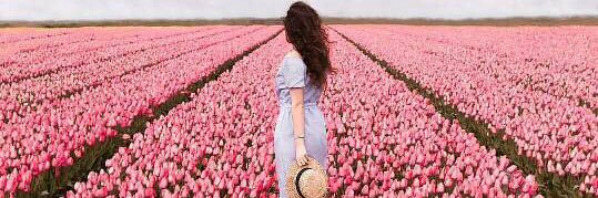 fatin_rusli's profile banner image