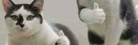 Pakar_kacang's profile banner image