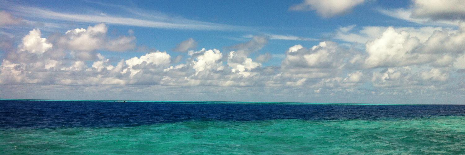 midohavn's profile banner image