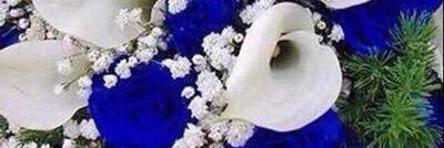 فوز banner